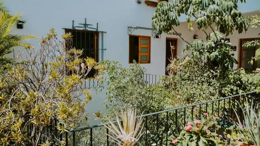 Green courtyard passage at Parador San Agustin